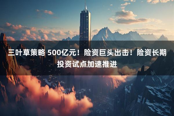 三叶草策略 500亿元！险资巨头出击！险资长期投资试点加速推进
