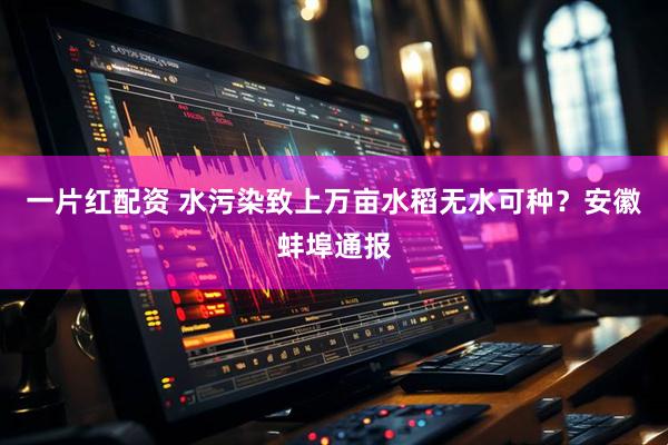 一片红配资 水污染致上万亩水稻无水可种？安徽蚌埠通报