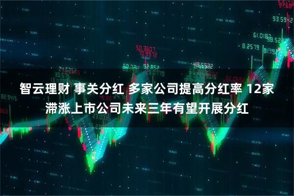 智云理财 事关分红 多家公司提高分红率 12家滞涨上市公司未来三年有望开展分红