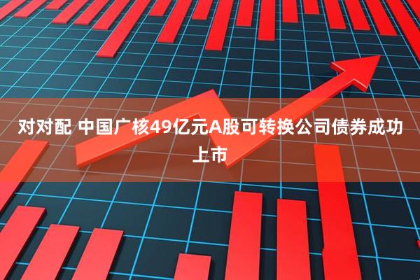 对对配 中国广核49亿元A股可转换公司债券成功上市