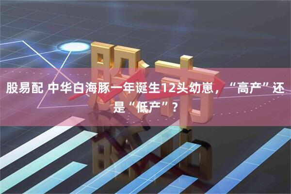 股易配 中华白海豚一年诞生12头幼崽，“高产”还是“低产”？