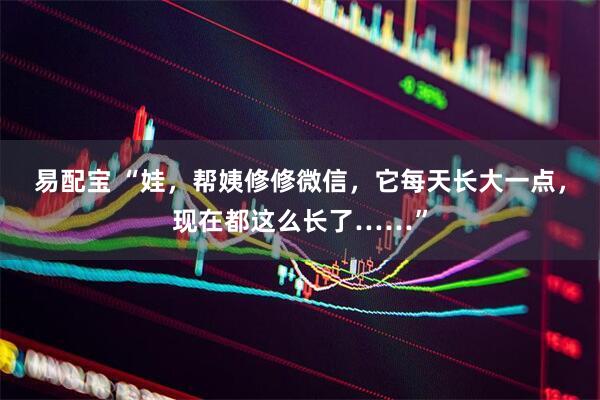 易配宝 “娃，帮姨修修微信，它每天长大一点，现在都这么长了……”