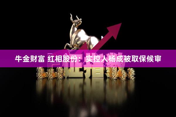牛金财富 红相股份：实控人杨成被取保候审