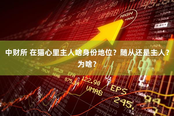 中财所 在猫心里主人啥身份地位？随从还是主人？为啥？