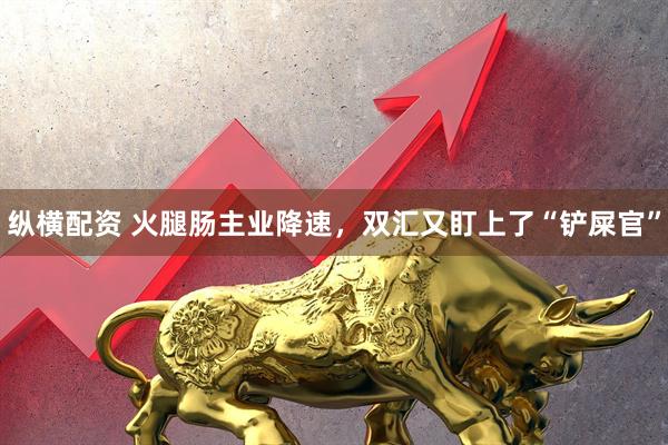 纵横配资 火腿肠主业降速，双汇又盯上了“铲屎官”