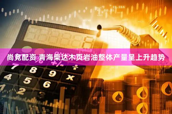 尚竞配资 青海柴达木页岩油整体产量呈上升趋势