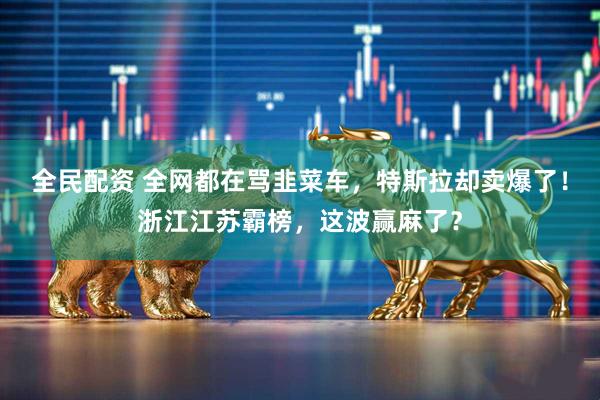 全民配资 全网都在骂韭菜车，特斯拉却卖爆了！浙江江苏霸榜，这波赢麻了？