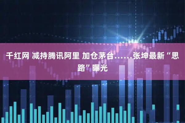 千红网 减持腾讯阿里 加仓茅台……张坤最新“思路”曝光
